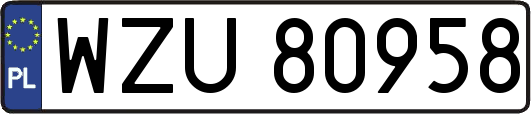 WZU80958
