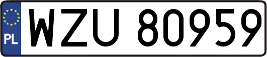 WZU80959