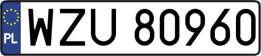 WZU80960