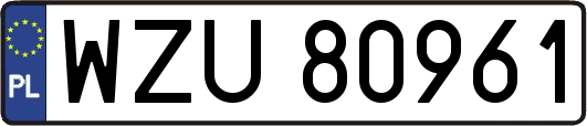 WZU80961