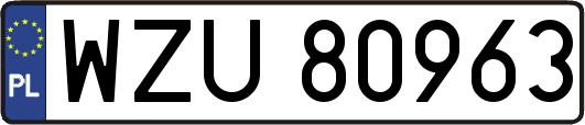 WZU80963