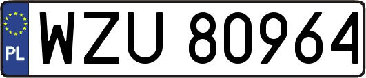 WZU80964