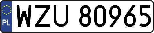 WZU80965
