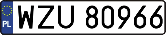 WZU80966