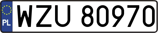 WZU80970