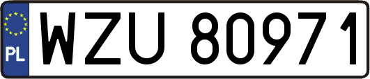 WZU80971