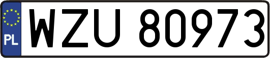 WZU80973