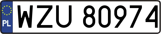 WZU80974