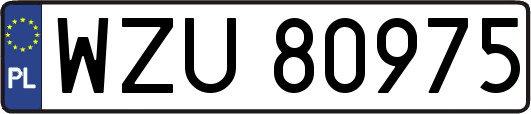 WZU80975