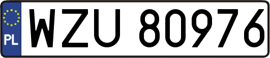 WZU80976