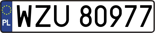 WZU80977