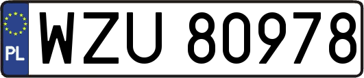 WZU80978