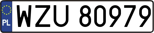 WZU80979