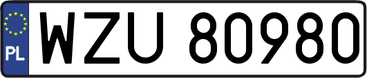 WZU80980
