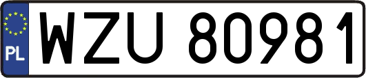 WZU80981