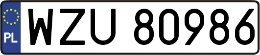 WZU80986