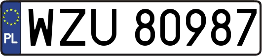 WZU80987