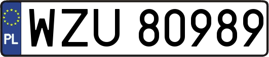 WZU80989