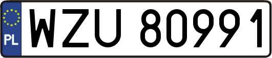WZU80991