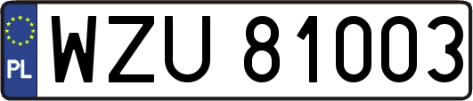 WZU81003