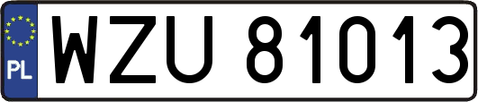WZU81013
