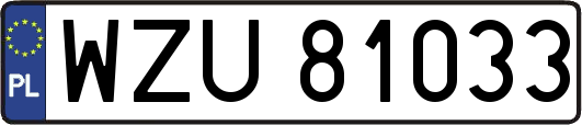 WZU81033
