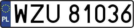 WZU81036
