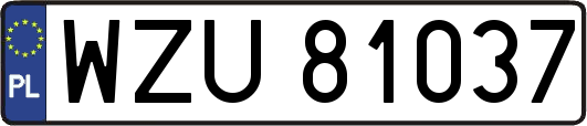 WZU81037