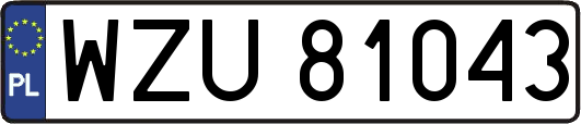 WZU81043