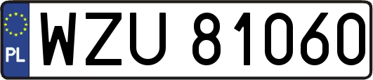 WZU81060