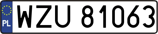 WZU81063