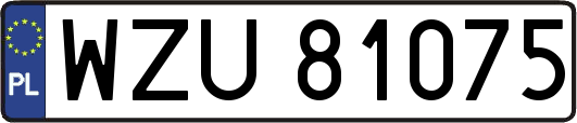 WZU81075