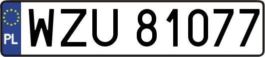 WZU81077