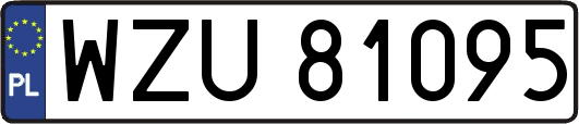 WZU81095