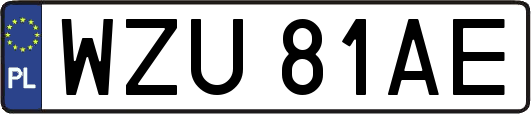 WZU81AE