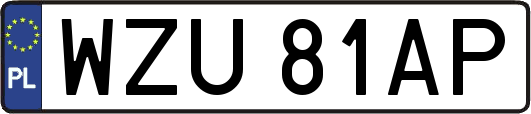 WZU81AP