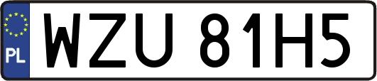 WZU81H5