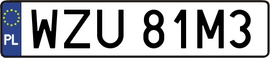 WZU81M3