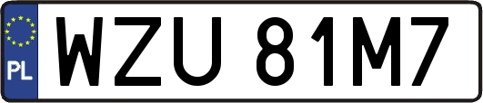 WZU81M7