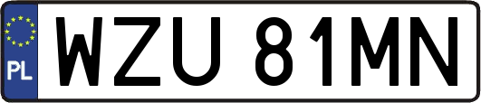 WZU81MN