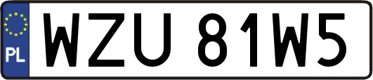 WZU81W5