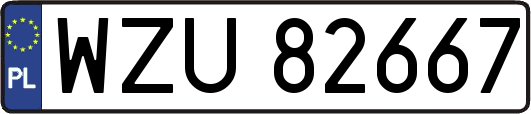 WZU82667
