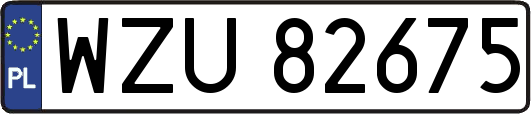 WZU82675