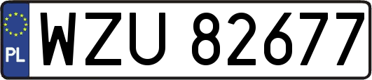 WZU82677