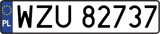 WZU82737