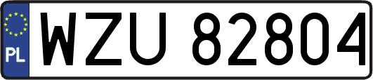 WZU82804