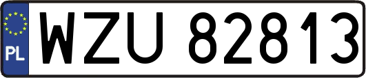 WZU82813