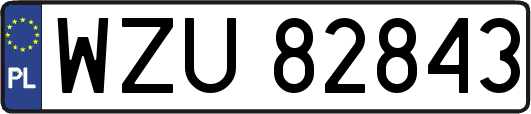 WZU82843