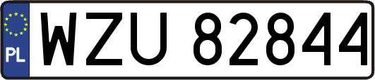 WZU82844