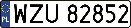 WZU82852